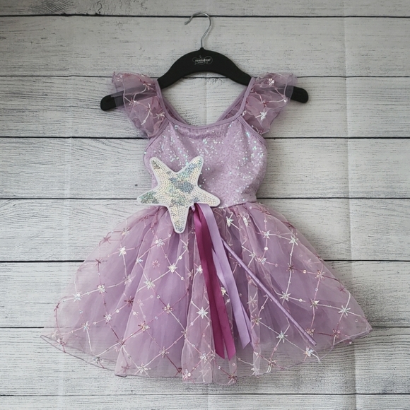 Revolution Other - Ballerina Recital Costume EUC